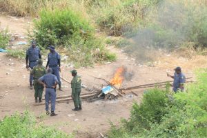 South Africa border agency denies hundreds of Zimbabweans entry into SA