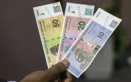 Government Cracks Down On Illegal Money Changers For Zig Currency Manipulation