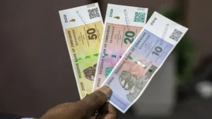 Government Cracks Down On Illegal Money Changers For Zig Currency Manipulation