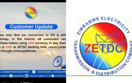 ZESA Temporarily Suspends Electricity Token Sales in Local Currency Amid ZiG Currency Transition