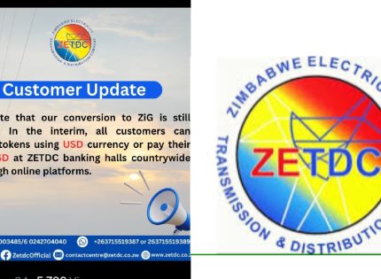 ZESA Temporarily Suspends Electricity Token Sales in Local Currency Amid ZiG Currency Transition