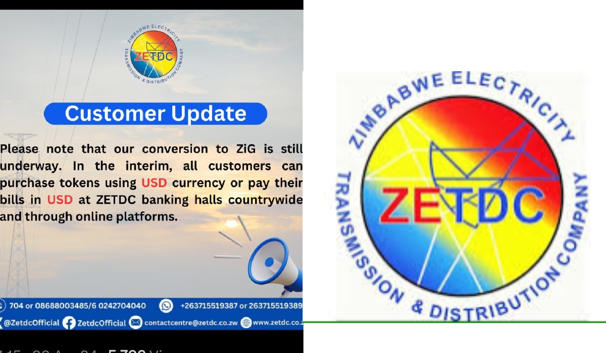 ZESA Temporarily Suspends Electricity Token Sales in Local Currency Amid ZiG Currency Transition