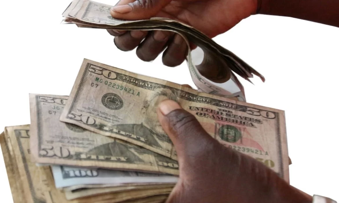 Zimbabwe Police Intensify Crackdown on Illegal Money Changers Amid Currency Manipulation Concerns