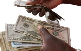 Zimbabwe Police Intensify Crackdown on Illegal Money Changers Amid Currency Manipulation Concerns