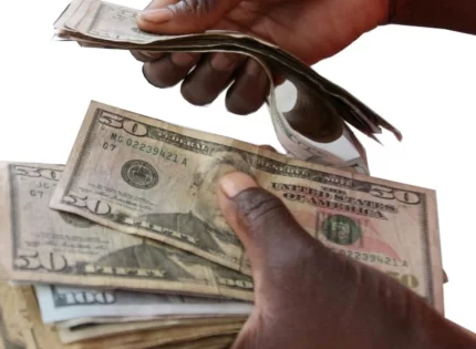 Zimbabwe Police Intensify Crackdown on Illegal Money Changers Amid Currency Manipulation Concerns