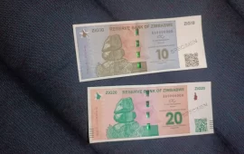 RBZ Governor Dr John Mushayavanhu Issues Important Update On The New ZiG Currency