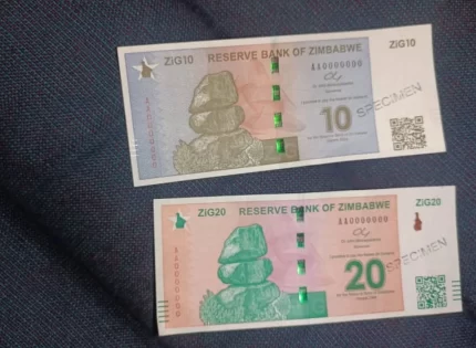 Here Is What Will Happen To Your Zimbabwe Dollar (ZWL) Following Introduction Of ZiG