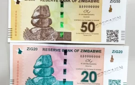 Fueling Doubts: Zimbabweans React As RBZ Says New ZiG Currency Cannot Buy Fuel At Service Stations