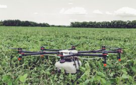 Woolworths farmers integrate drone tech for agriculture