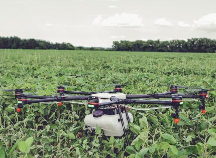 Woolworths farmers integrate drone tech for agriculture