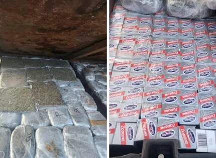 Police Bust Crossborder Kombi Smuggling Drugs Worth Millions Into Zimbabwe