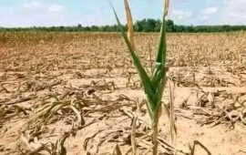 Zimbabwe’s Drought Crisis: Aid Appeal Raised to 3.3 Billion USD