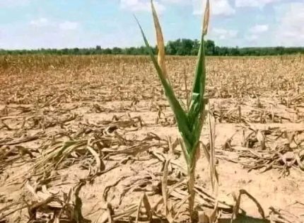 Zimbabwe’s Drought Crisis: Aid Appeal Raised to 3.3 Billion USD