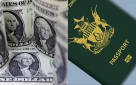 Government Explains Why It Is Charging Passports In US Dollars And Not ZiG