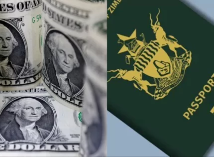 Government Explains Why It Is Charging Passports In US Dollars And Not ZiG