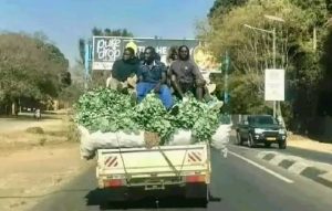 Ndiwo ma Vegetables amunozodya here aya?