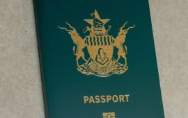 Zimbabwe Introduces E-Passport Services in South Africa and Expands Domestic Centers