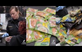 Watch: Video Showing Two Zimbabweans Getting Their Packets of Royco Soups and Chillies Confiscated At the US Border Control Sparks a Buzz