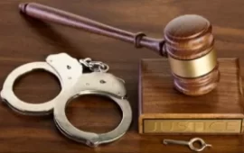 Short-Live Honeymoon: 19-Year-Old Man Sentenced To 9 Years In Jail For Stealing Cow To Pay Lobola