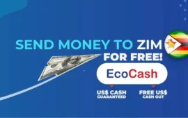 Econet Introduces Free Money Transfer Service from South Africa and The UK to Zimbabwe: Step-By-Step Guide