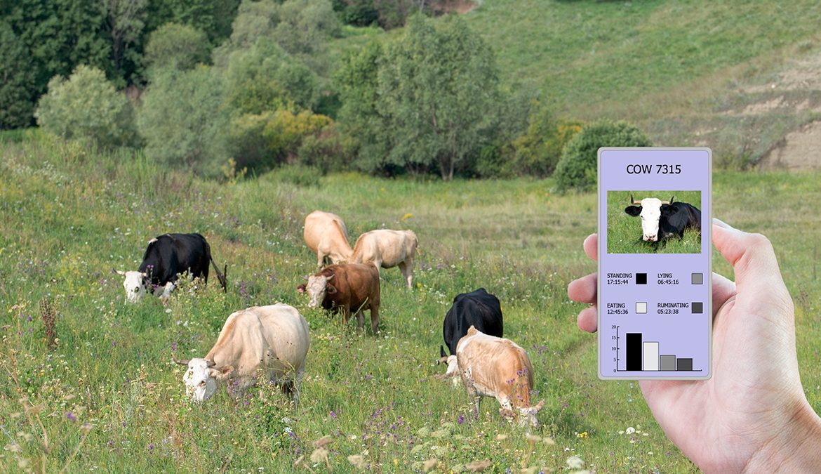 ECape intros tech to fight stock theft