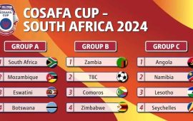 Zimbabwe face uphill task in COSAFA Cup