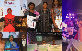 Female entrepreneurs invited to enter innovation awards