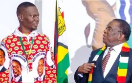 Ziyambi Demands Proof President Mnangagwa is Surrounded by Criminals