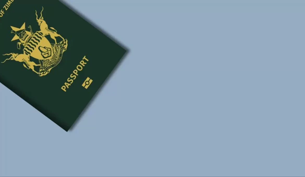 Zimbabweans To Soon Apply For Passports And IDs Online: What You Need To Know 