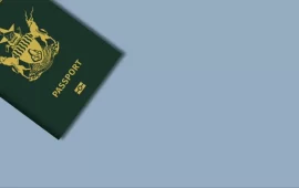 Zimbabweans To Soon Apply For Passports And IDs Online: What You Need To Know 