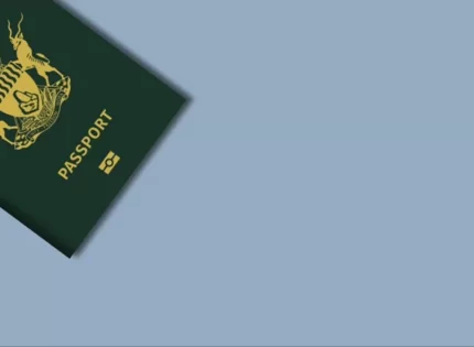 Zimbabweans To Soon Apply For Passports And IDs Online: What You Need To Know 