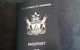 South Africa Seeks Solution for Zimbabwean Migrants