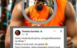 Themba Gorimbo’s Social Media Fracas