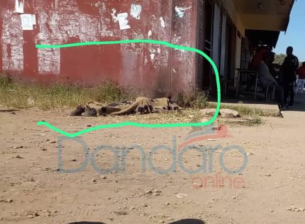 Violence Claims Two Lives at Budiriro Shopping Center