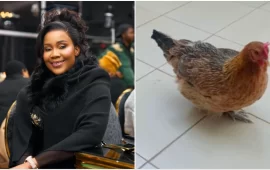 Facebook Woman Gives VP Chiwenga’s Wife Minnie Two Chickens Following Conversation Over Marry Mubaiwa