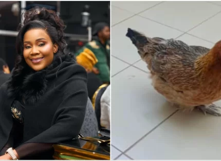 Facebook Woman Gives VP Chiwenga’s Wife Minnie Two Chickens Following Conversation Over Marry Mubaiwa