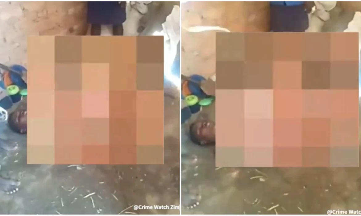 ZRP Arrests Five Teenagers For Unclothing And Assaulting A Young Girl In Viral Video