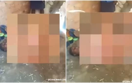 ZRP Arrests Five Teenagers For Unclothing And Assaulting A Young Girl In Viral Video