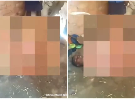 ZRP Arrests Five Teenagers For Unclothing And Assaulting A Young Girl In Viral Video