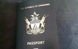 Zimbabweans in South Africa Protest Steep Passport Fee Hike