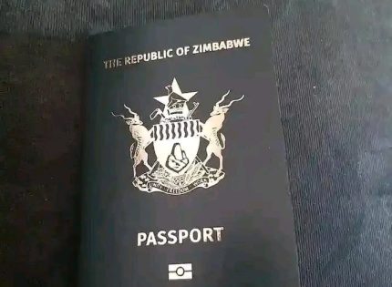 Zimbabweans in South Africa Protest Steep Passport Fee Hike