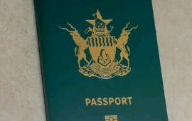 Zimbabweans in South Africa Protest Passport Fee Hike