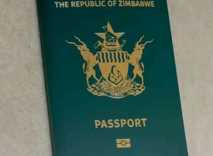 Zimbabweans in South Africa Protest Passport Fee Hike