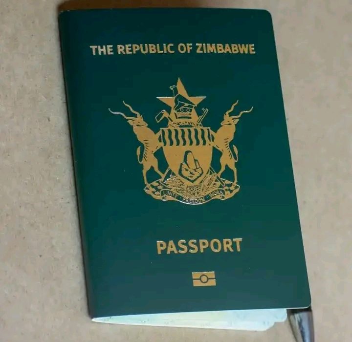 Zimbabweans in South Africa Protest Passport Fee Hike