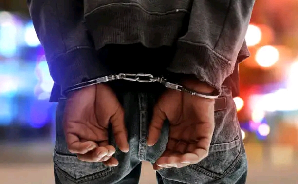 Zimbabwean Man Arrested for Allegedly Smuggling Children into South Africa