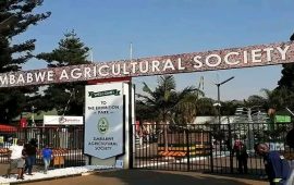 Zimbabwe Agricultural Show Kicks Off in Harare