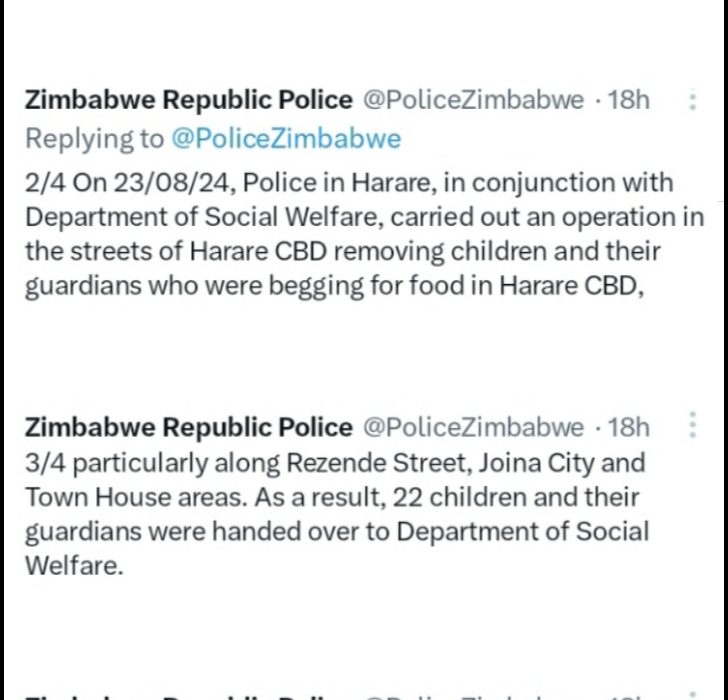 Zimbabwe Republic Police Crack Down on Child Begging in Harare