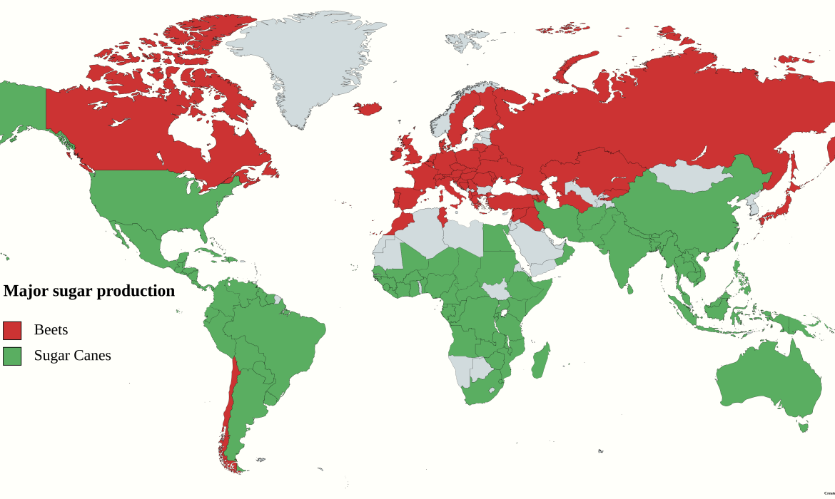 DidYouKnow: Sugar cane accounts for 80% and sugar beets 20% of the world’s sugar production