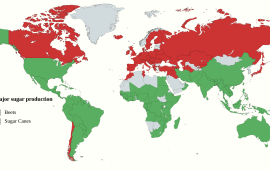 DidYouKnow: Sugar cane accounts for 80% and sugar beets 20% of the world’s sugar production