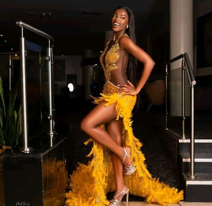 Chidimma Adetshina Crowned Miss Universe Nigeria 2024